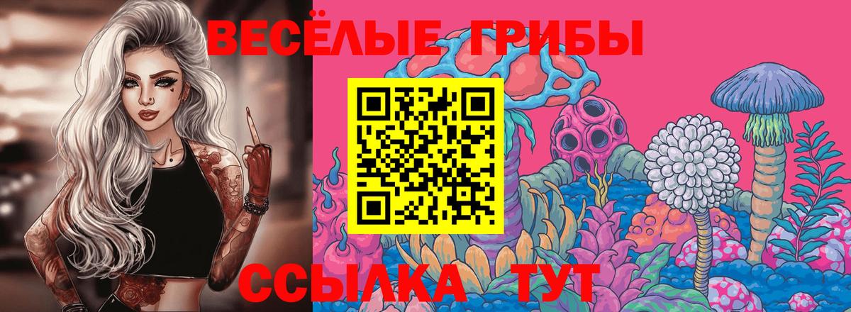 Псилоцибиновые грибы MAGIC MUSHROOMS  Вход с VPN  Аша  Псилоцибиновые грибы Psilocybe 