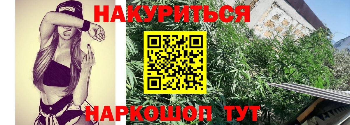Конопля SATIVA & INDICA Аша